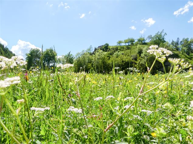 Tour du Glaisy Notre Dame du Pré - Coeur de Tarentaise Tourisme - L. Jacquin