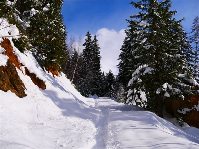 raquettes, piéton - G. Kiener