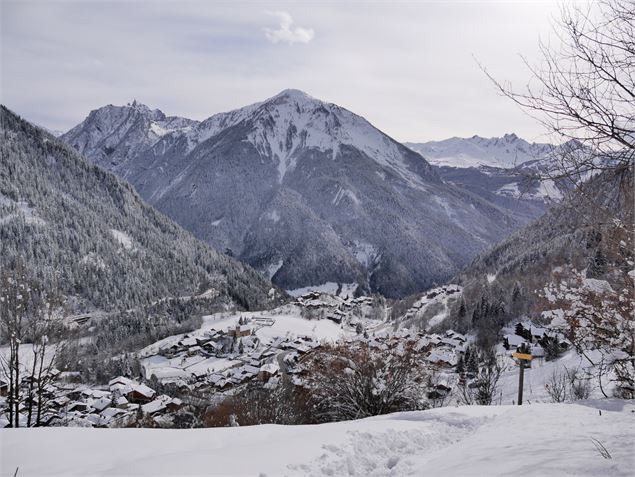 raquettes, piéton - G. Kiener