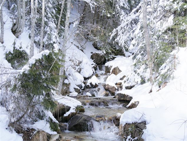 raquettes, piéton - G. Kiener