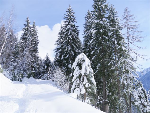 raquettes, piétons - G. Kiener