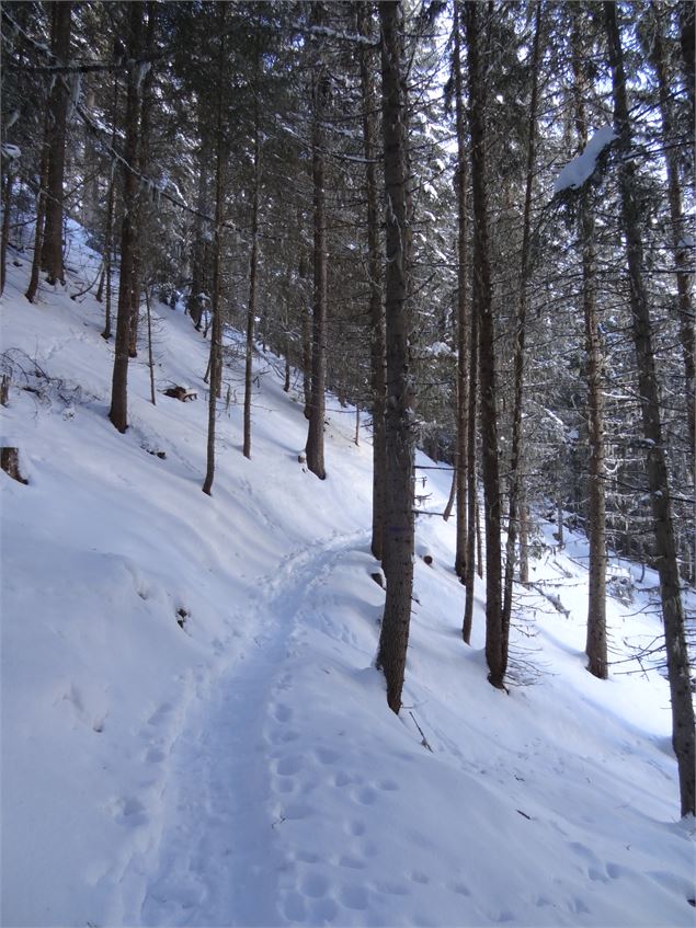 Itinéraire raquettes Taillette - Karine Renaud