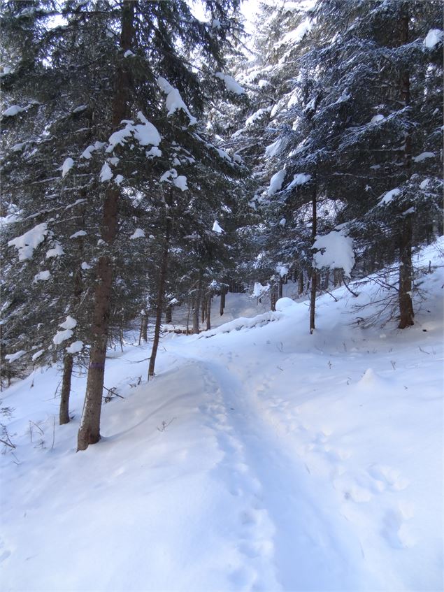 Itinéraire raquettes Taillette - Karine Renaud