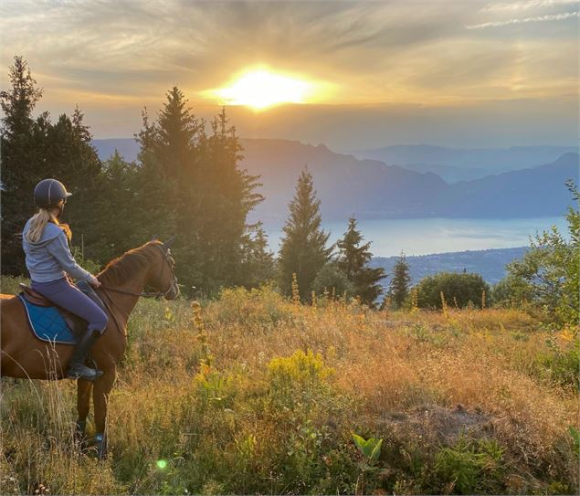 Centre équestre Volte face - Centre équestre Volte Face