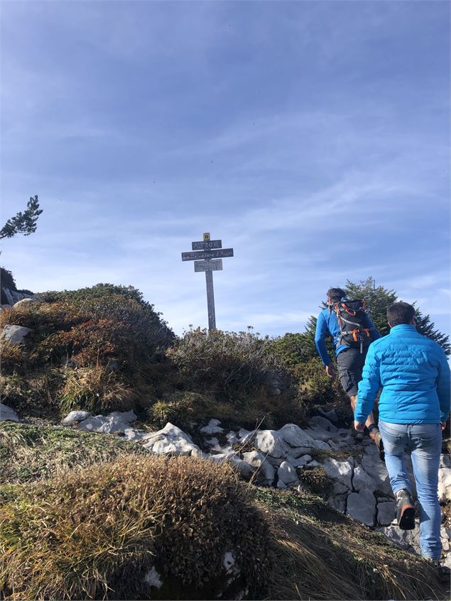 Arrivée belvédère - CAMT