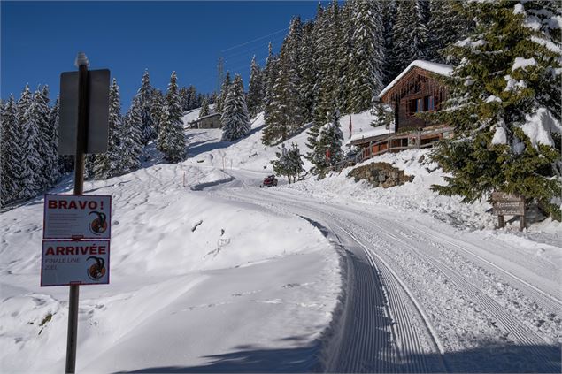 Célestin le Bouquetin - Les sports d'hiver dans le Val de Bagnes_Val de Bagnes
