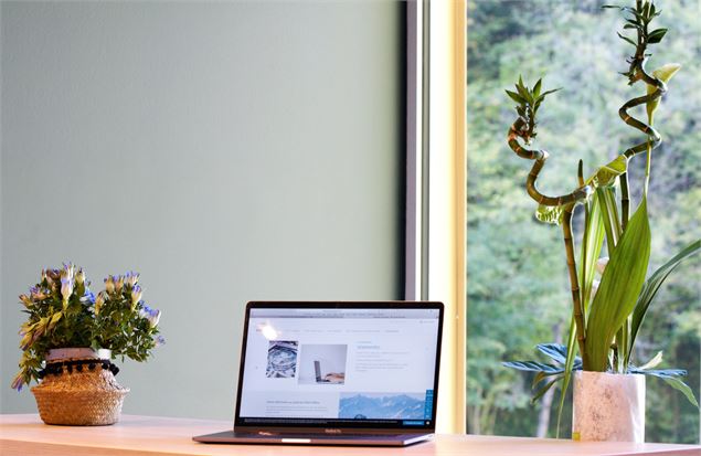 Séminaire Thermes - Thermes Saint Gervais