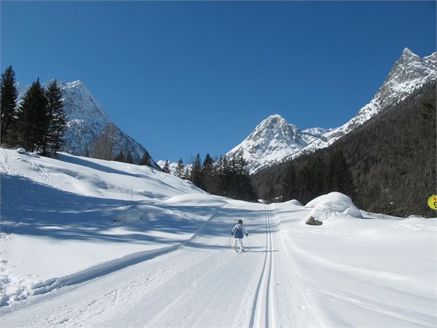 Vue sur la piste de ski de fond sur le domaine nordique de Vallorcine - Haute Savoie Nordic