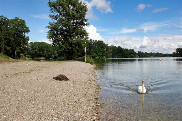 Plage de la Baraka - ABI ABO Maxime Dechelette