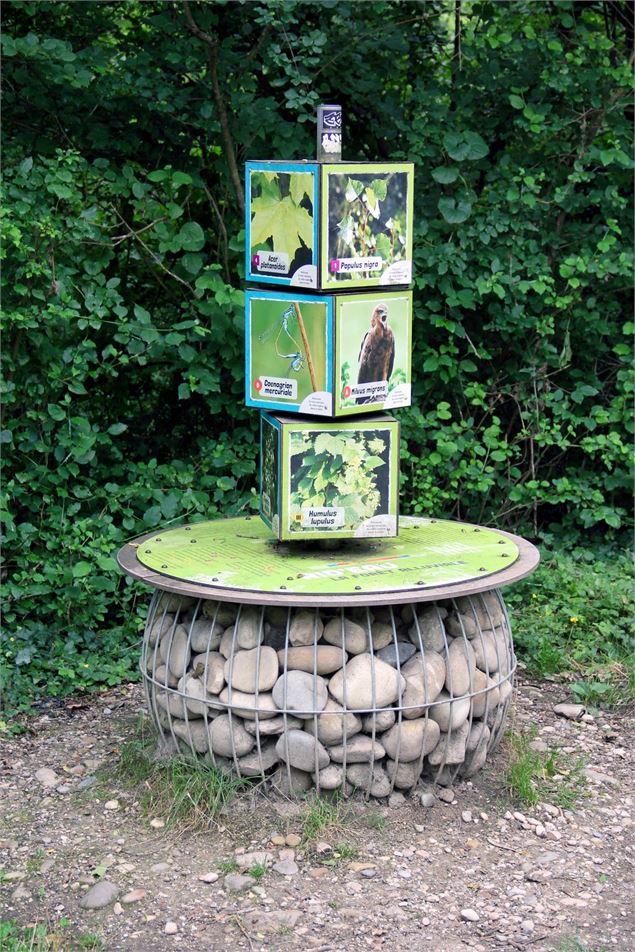 Observatoire - ABI ABO Maxime Dechelette