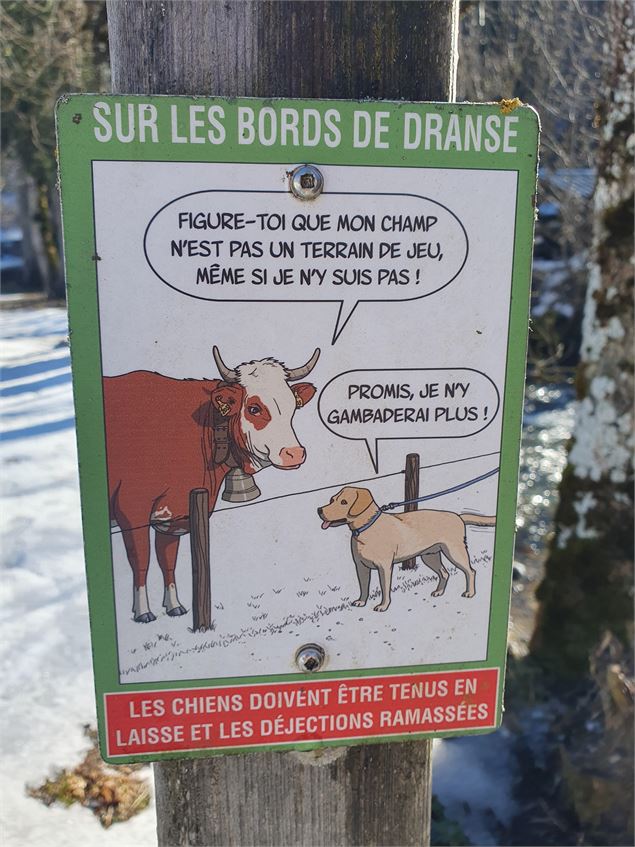 Panneau BDD - CCPEVA