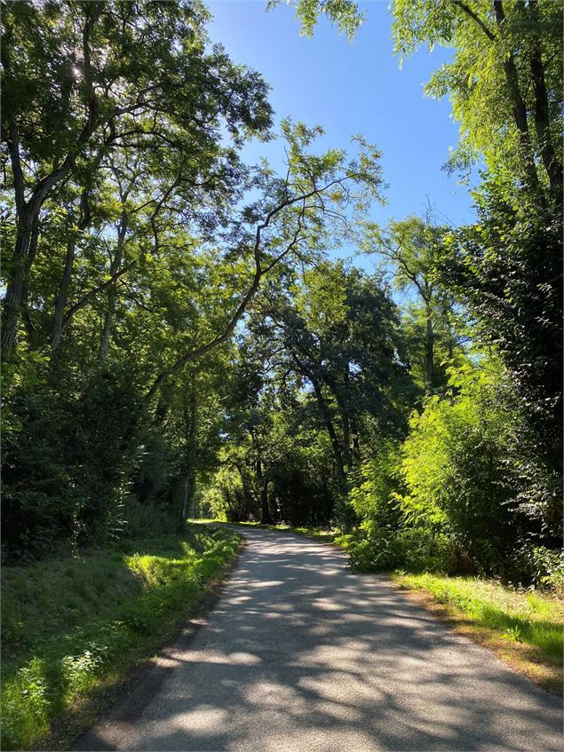 Circuit la Côte Michon - Christine Sola DCT