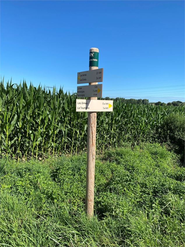 Sentier la côte Michon - Christine Sola DCT