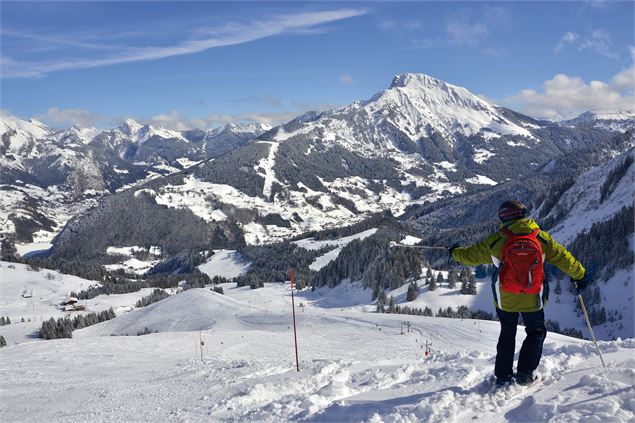 Ski dans la poudreuse à Abondance - Nicolas Blandin