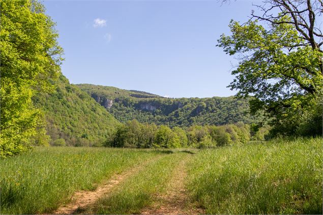 les monts du Bugey sur le circuit des cuves du Buizin - Marilou Perino