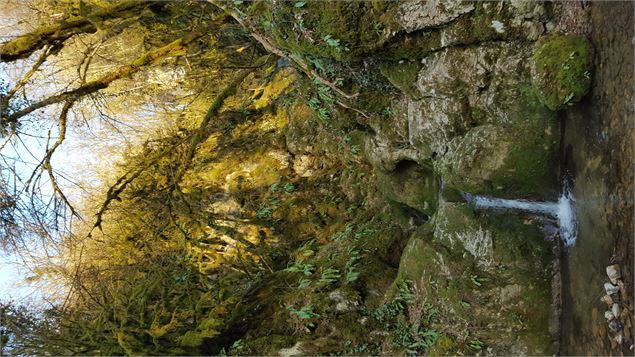 cascade du Buizin - Marilou Perino