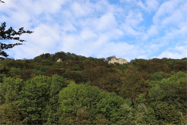 Vue du Bugey avec la roche Taporal - Sabrina Megani / Plaine de l'Ain Tourisme