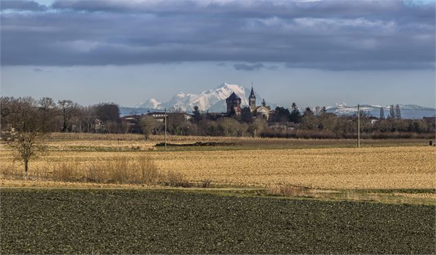 Château médiéval d'Ambérieux en Dombes_Ambérieux-en-Dombes - Pascal Brunon