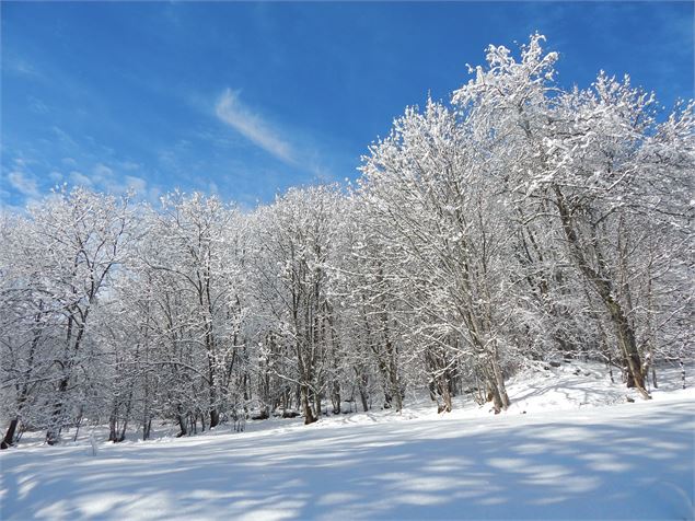 Itinéraire raquette : Le Martinan_Saint-Colomban-des-Villards - OT Espace Glandon
