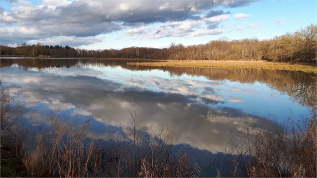Reflets sur un étang de la Dombes - Sabrina Megani / Plaine de l'Ain Tourisme