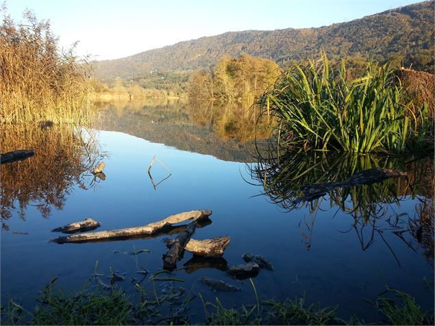 Vue sur le lac de Ste Hélène - Gérard Thiévenaz ATD/CG73