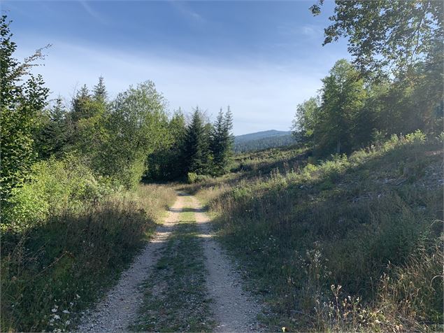 Sentier - Maxime Michel