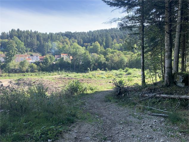 Sentier Forêt de Niermes - Maxime Michel