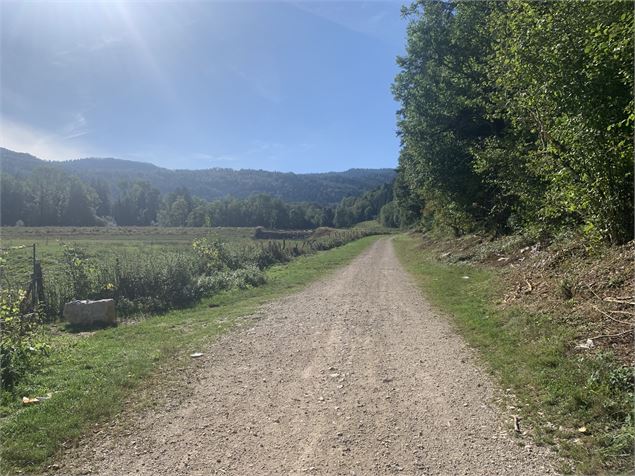 Forêt de Niermes - Maxime Michel