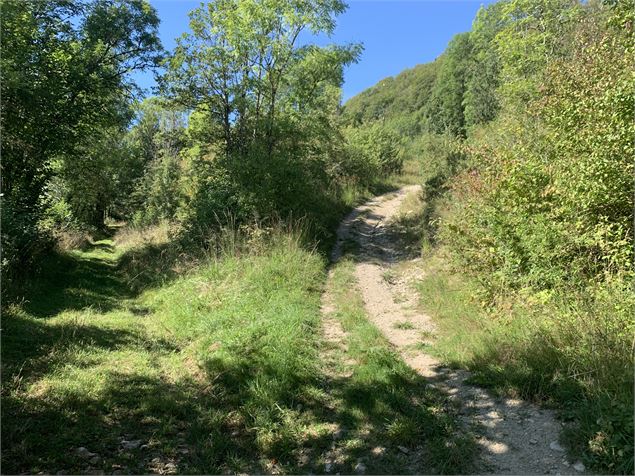 Sentier qui emmène sur Ablatrix - Maxime Michel
