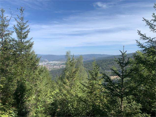 Vue du belvédère du Haut Crêt - Maxime Michel