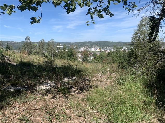 Vue sur Geilles et Oyonnax - Maxime Michel