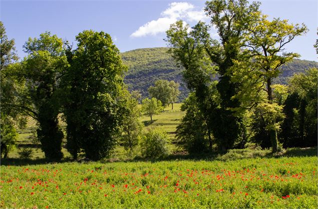 Sommet autour de Lhuis - Marilou Perino / Plaine de l'Ain Tourisme