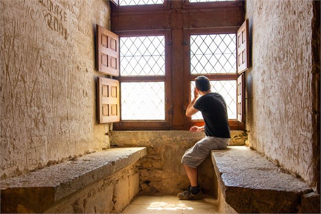 Visite château des Allymes Ambérieu - David Pothin