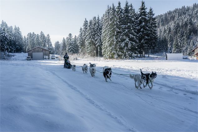 Domaine de ski nordique de la Praille_Plateau d'Hauteville - HBA