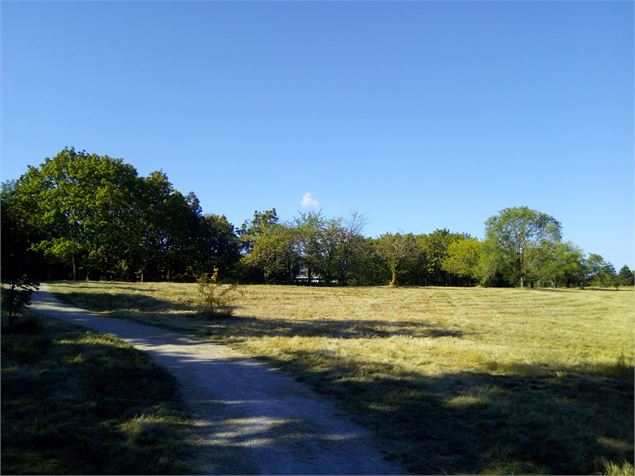 parcours de santé à St Vulbas - S.Megani