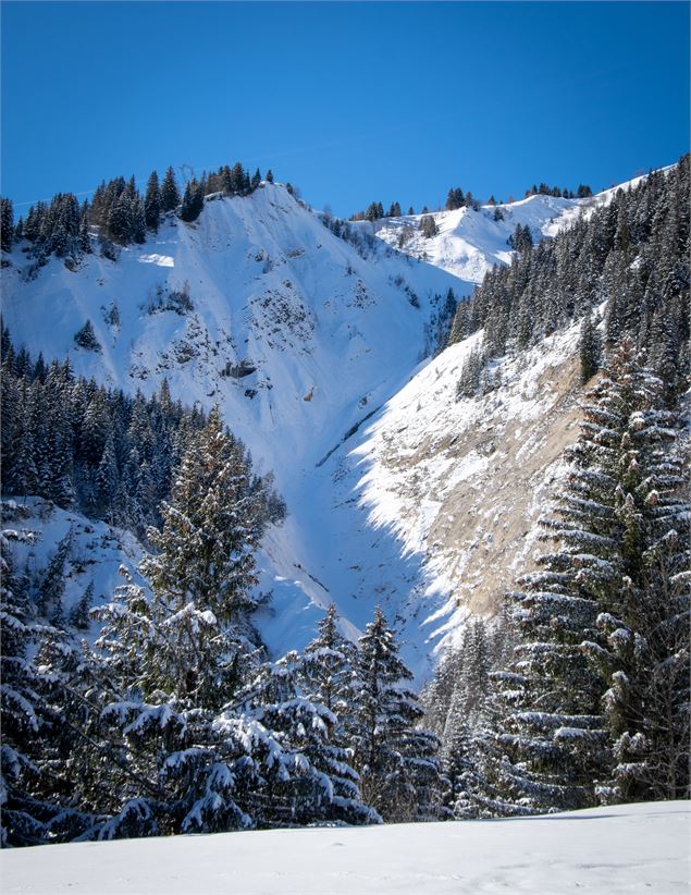 Une randonnée sauvage - Les Contamines Tourisme
