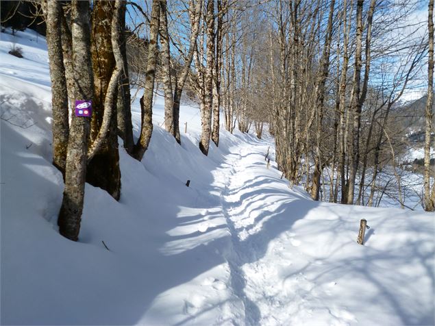 Boucle du Villard - St Philibert - Véronique Arpin