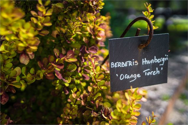 photo-prestataire - Mel Carles