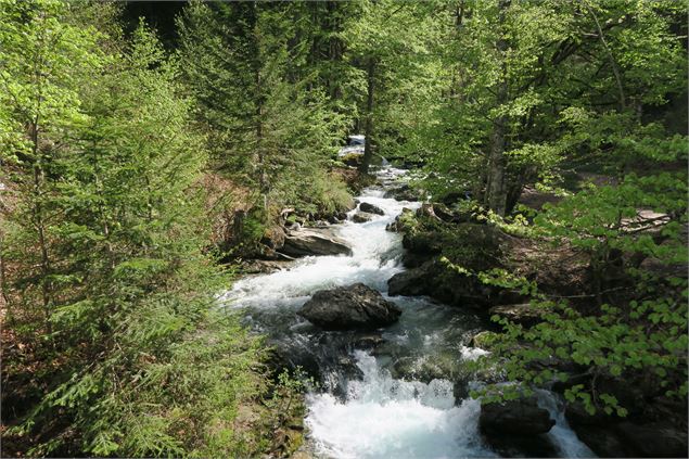 Rivière en amont de la cascade d'Ardent - Victor Demilly