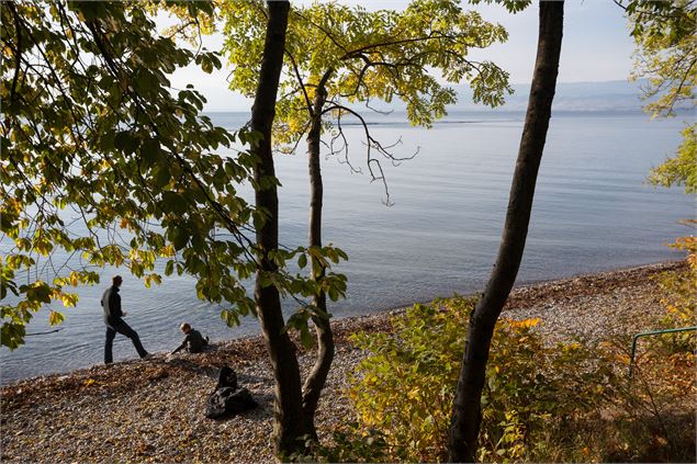 Sentier de la Pinede - Pierre Thiriet