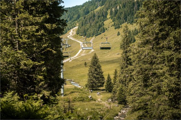 Sentier pédestre : des Lindarets à la Cascade des Brochaux_Montriond - Lucie Tanguy / Vallée d'Aulps
