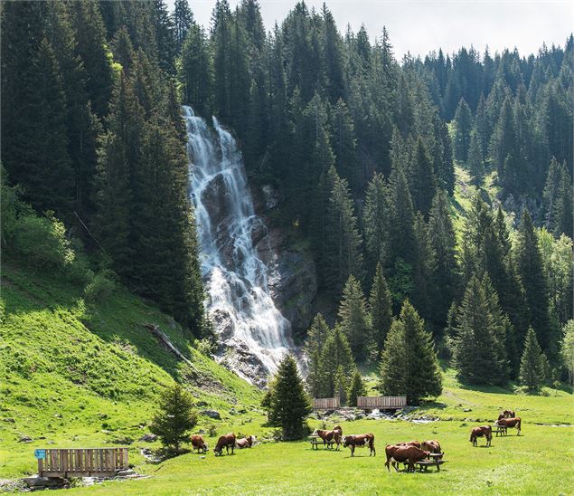 Cascade des Brochaux - Lucie Tanguy / Vallée d'Aulps Tourisme