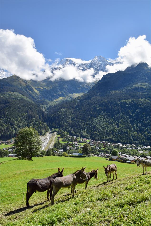 Randonnée Patrimoine : La roua dé lé, la rive de l’autre coté - Les Contamines Tourisme