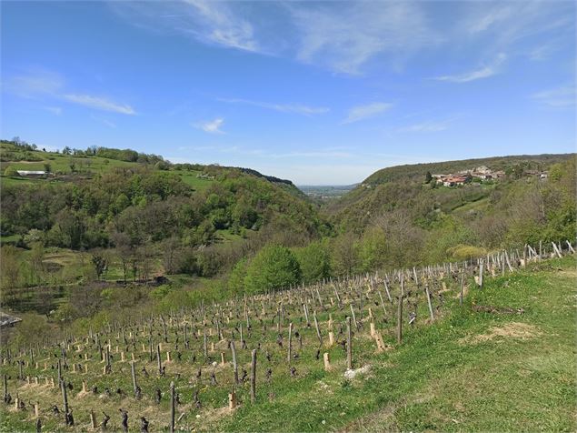 Direction Dalivoy - K.Tranchina