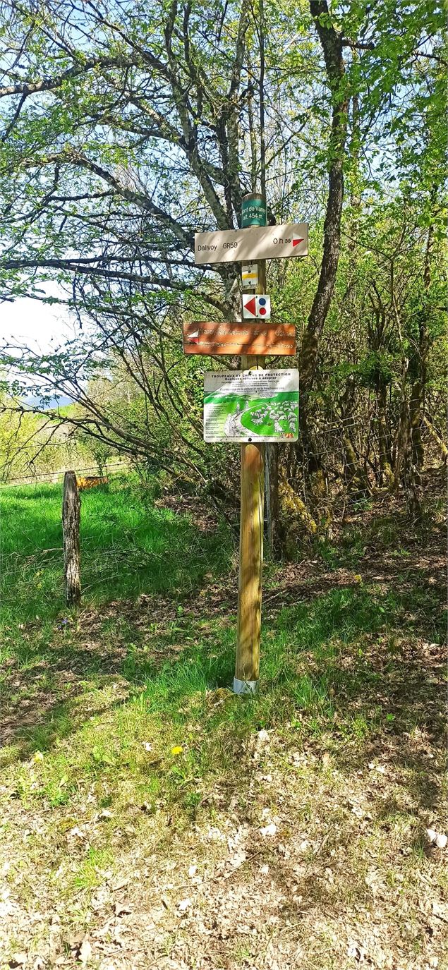 Direction le bois de Varice - K.Tranchina