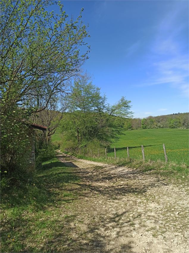 Entrée du bois de Varice - K.Tranchina