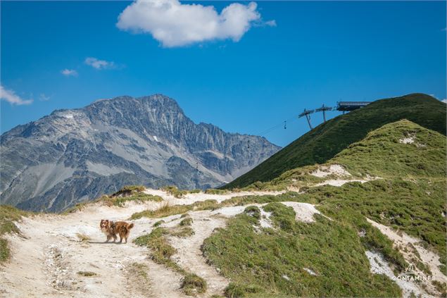 Pierres Blanches randonnée aux Contamines - Les Contamines Tourisme