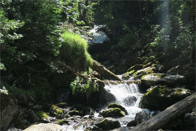 Ruisseau d'Ardent aux Lindarets - Yvan Tisseyre / OT Vallée d'Aulps