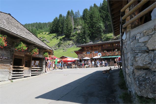 Village des chèvres - Yvan Tisseyre / OT Vallée d'Aulps
