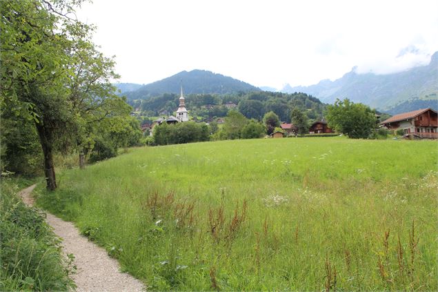 Cordon de Devant - © Jean-Marc BAREY